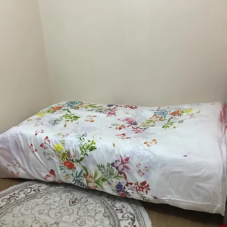 Apartment Koru Apart
