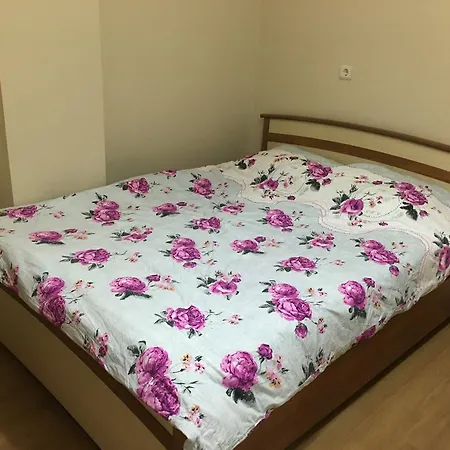 Koru Apart Apartment Çınarcık